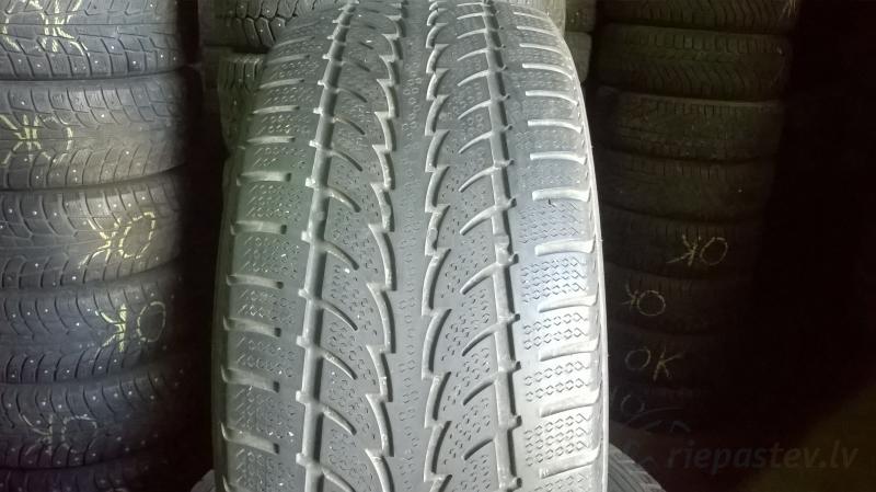 Nokian WR 113H