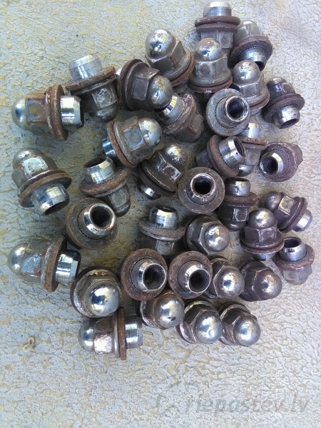 Uzgrieznis ar paplāksni (Toyota, Lexus, Mitsubishi) 