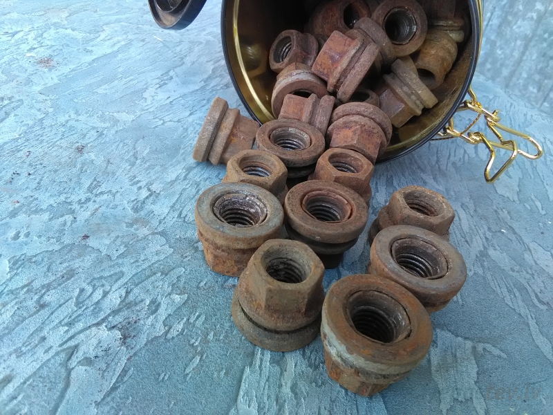 Uzgrieznis Ford Tranzit 