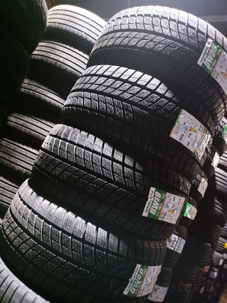 Doublestar Winterking DW09 