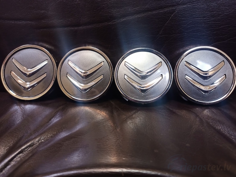 Citroen DISKU VIDIŅI 60mm 