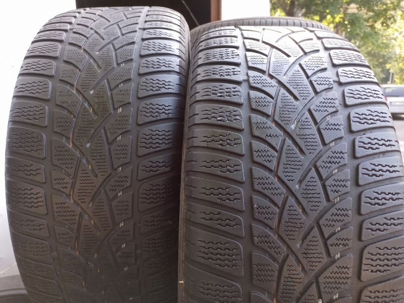 Dunlop Winter Sport 3D 110V