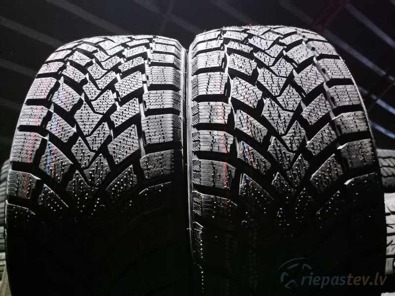 Mazzini Snowleopard 95T