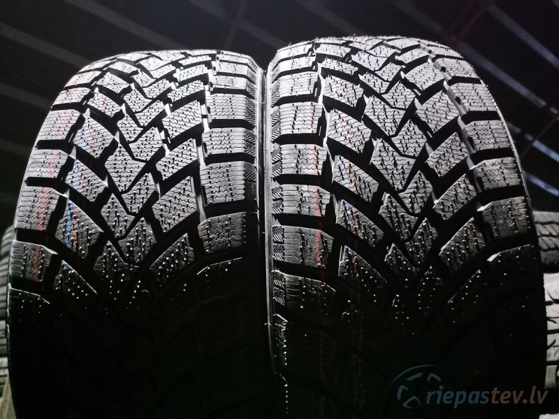 Mazzini Snowleopard 94T