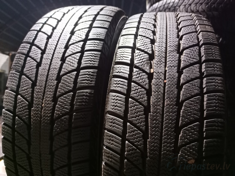 Diamondback Snowlion 86T