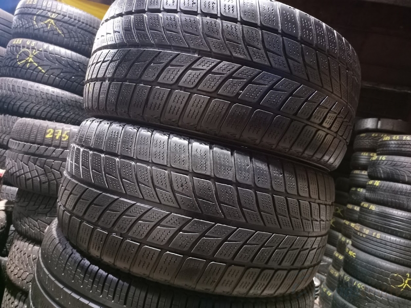 Doublestar Winterking DW09 106V