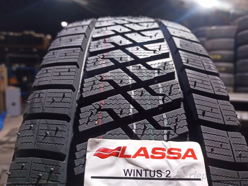 Lassa Wintus 2 