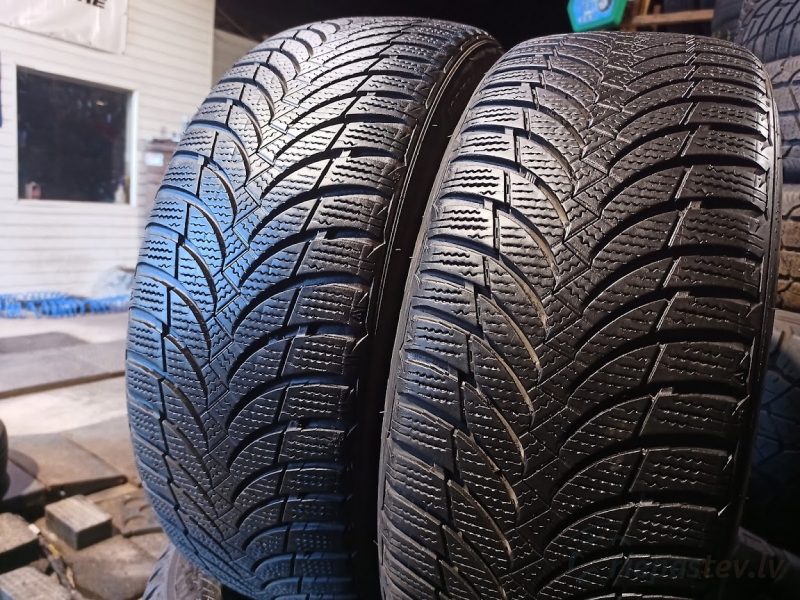 Nexen Winguard Snow G WH2 85H