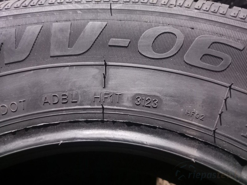 Ecovision WV-06 102R