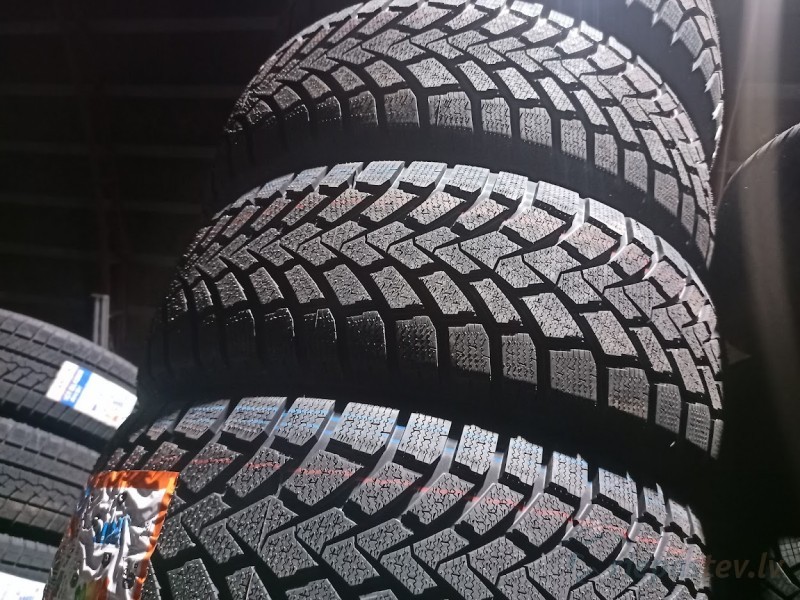 Mazzini Snowleopard 95T