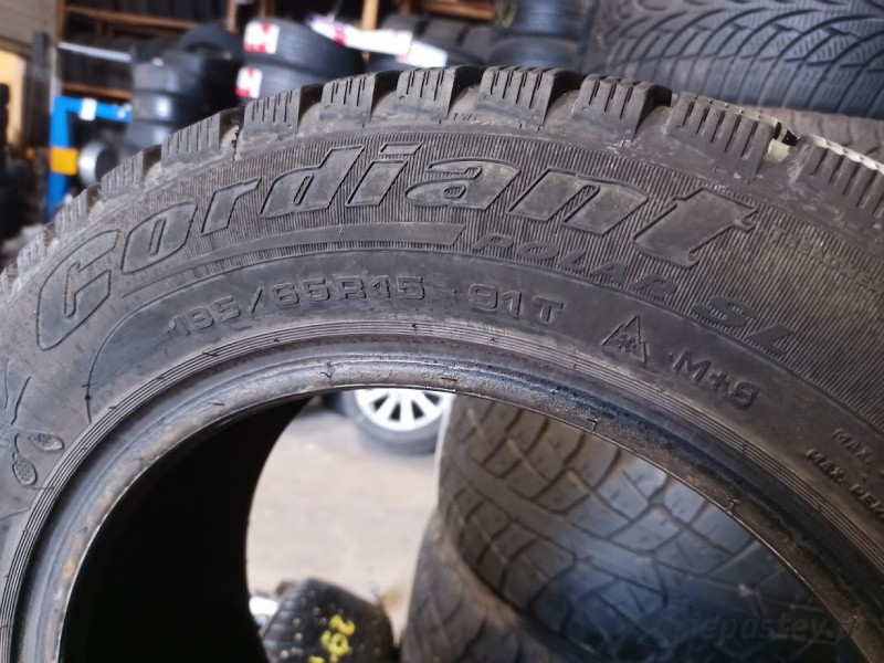 Cordiant Polar SL 91T