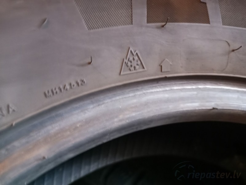 Dynamo Snow-H MWC01(Winter Tamer Van) 115R