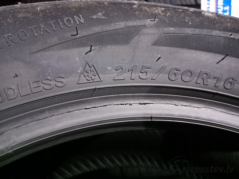 Sailun Ice Blazer Alpine+ 95H