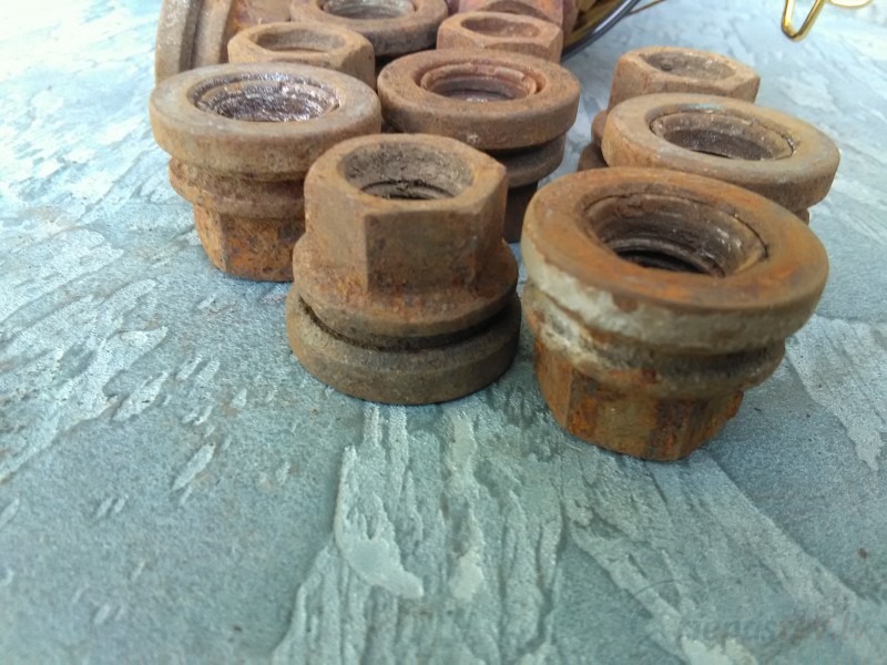 Uzgrieznis Ford Tranzit 