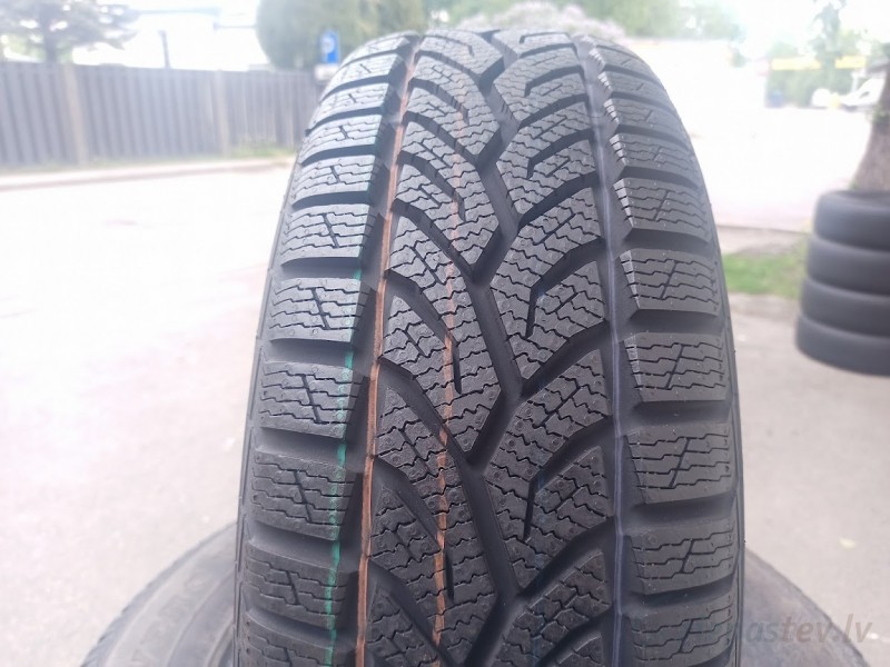 General Altimax Winter+ 91H