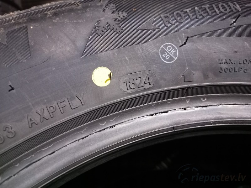 Sailun Ice Blazer Alpine+ 95H