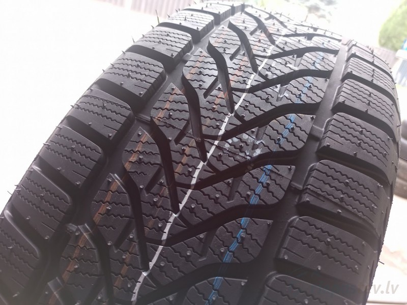 Lassa Competus Winter 2+ 