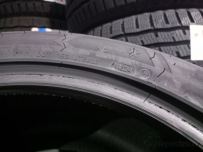 Sailun Ice Blazer Alpine Evo 1 110V