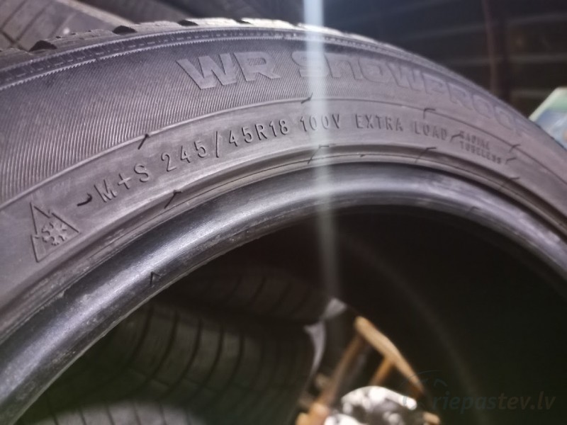 Nokian WR Snowproof 100V