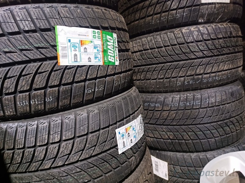 Doublestar Winterking DW09 