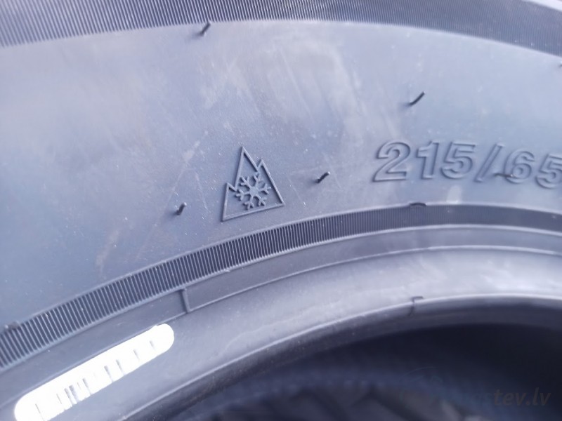 Trazano All Season Elite Z-401 98V