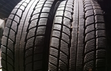 Diamondback Snowlion 86T