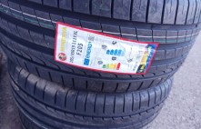 Minerva Radial F205 111Y