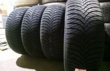 Trazano All Season Elite Z-401 