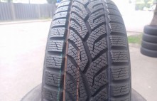 General Altimax Winter+ 91H