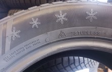 Sailun Ice Blazer Alpine Evo 1 100V