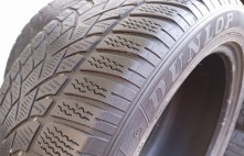 Dunlop Winter Sport 3D 110V